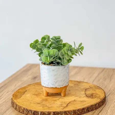 דירה Savonnerie Cathedrale 2 Avec Ascenseur Proche Cathedrale ! *