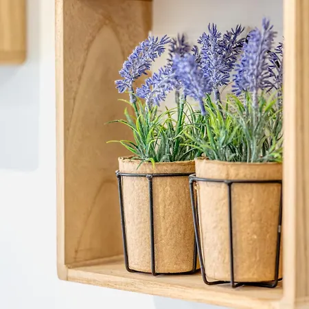 Savonnerie Cathedrale 2 Avec Ascenseur Proche Cathedrale ! דירה